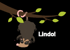 projetomarsupiais love amor animal pretty GIF