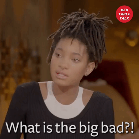 willow smith what is the big bag GIF by Red Table Talk