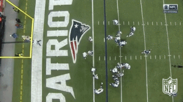 new england patriots football GIF by NFL