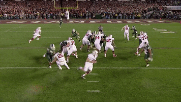 Celebrate College Football GIF by Michigan State Football