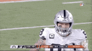 Nfl Playoffs Football GIF by NFL