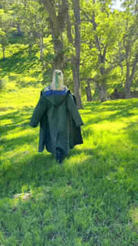 Getting Ready See You Later GIF by Anja Kotar