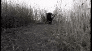nuclear blast folk metal GIF by Eluveitie