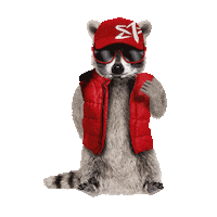Star Bear Sticker by Orlen Deutschland