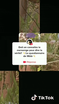 Marie Möör Truth GIF by THEOTHERCOLORS