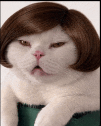 White Cat GIF