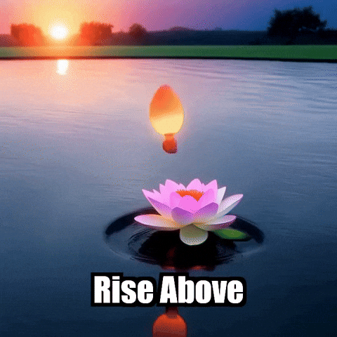 Inner Peace Wisdom GIF by Bloomscroll
