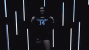 North Carolina Volleyball GIF by UNC Tar Heels