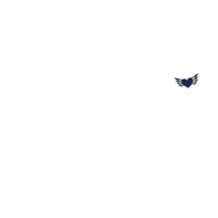 GIF by DEICHBRAND Festival 