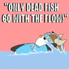 Fish Penguin GIF by Pudgy Penguins