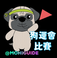 mohiguide mohi mohiguide GIF