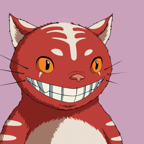 Cat Love GIF by Kitaro World