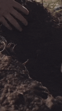 Food Grow GIF by Jennifer Accomando