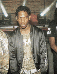 music rapper travis scott 3d gif 10photos GIF
