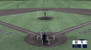 College Baseball GIF by Purdue Fort Wayne Athletics