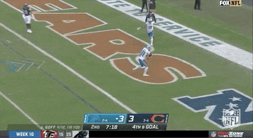 Detroit Lions Football GIF by NFL
