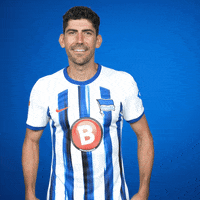 Andreas Bouchalakis Win GIF by Hertha BSC