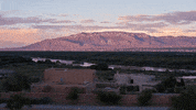 new mexico albuquerque GIF