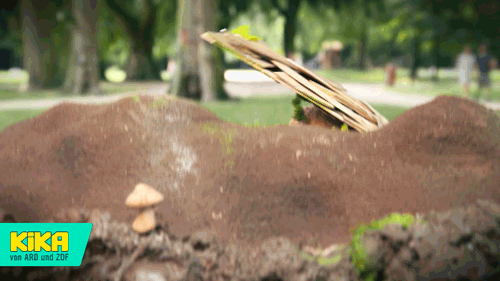 fun surprise GIF by KiKA