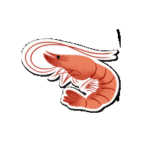 Summer Beach Sticker