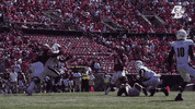 BostonCollegeAthletics football college ncaa touchdown GIF