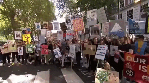 giphydvr protest climate change giphynewsinternational global climate strike GIF