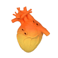 Back To School Sticker by Elsevier