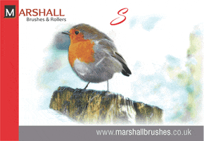 christmas robin GIF by martin_kenny_design_and_illustration