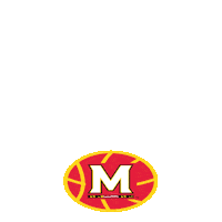 College Sports Basketball Sticker by Big Ten Network