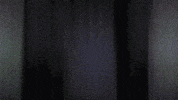 FilmVandals  GIF
