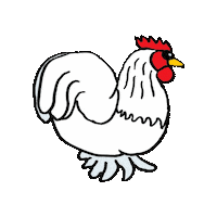 Hühner Sticker