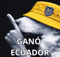 Ecuador La Tri GIF