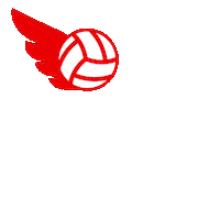 Ball Top Sticker by Vodafone Türkiye