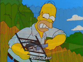 homer simpson GIF