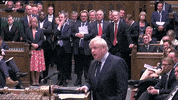 news brexit parliament boris johnson GIF