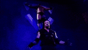 The Undertaker Sport GIF by WWE