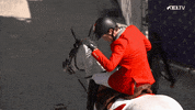 High Five European Championship GIF by FEI Global