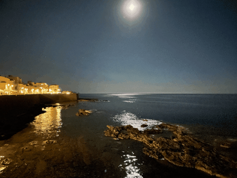 tobywagstaff giphygifmaker giphyattribution GIF