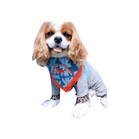 Dogs Love Sticker
