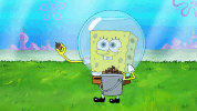season 9 squid defense GIF by SpongeBob SquarePants