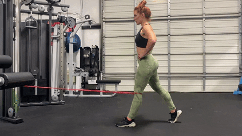 megsquats giphyupload GIF