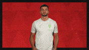Werder Bremen Applause GIF by Bundesliga