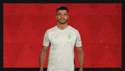 Werder Bremen Football GIF by Bundesliga