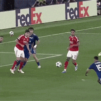 Goal Benfica GIF by Studo