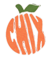 TheBeachNut cute retro orange fruit Sticker