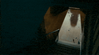 Knock Knock