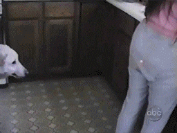 Dog Nip GIF