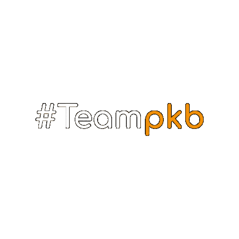 Team Teamwork Sticker by pkb-consulting