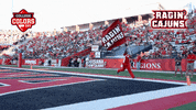 Excited College Sports GIF by College Colors Day