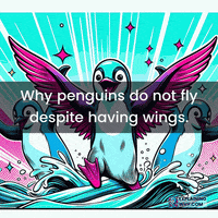 Wings Flight GIF by ExplainingWhy.com